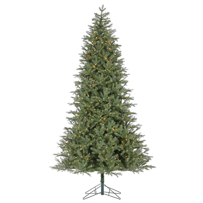 Frasier Fir Tree