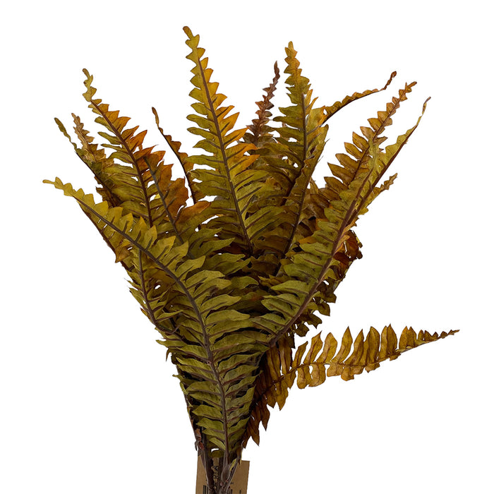 20" Polyester Fall Fern Bush - Green