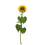 30 in Sunflower - Yellow/Brown