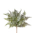 Leather Fern Bush Grey/Green