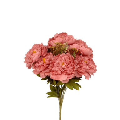 Peony Bush & Filler - Dusty Coral