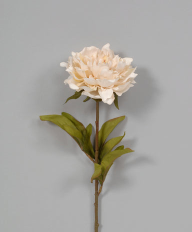 Ruffle Peony - Linen