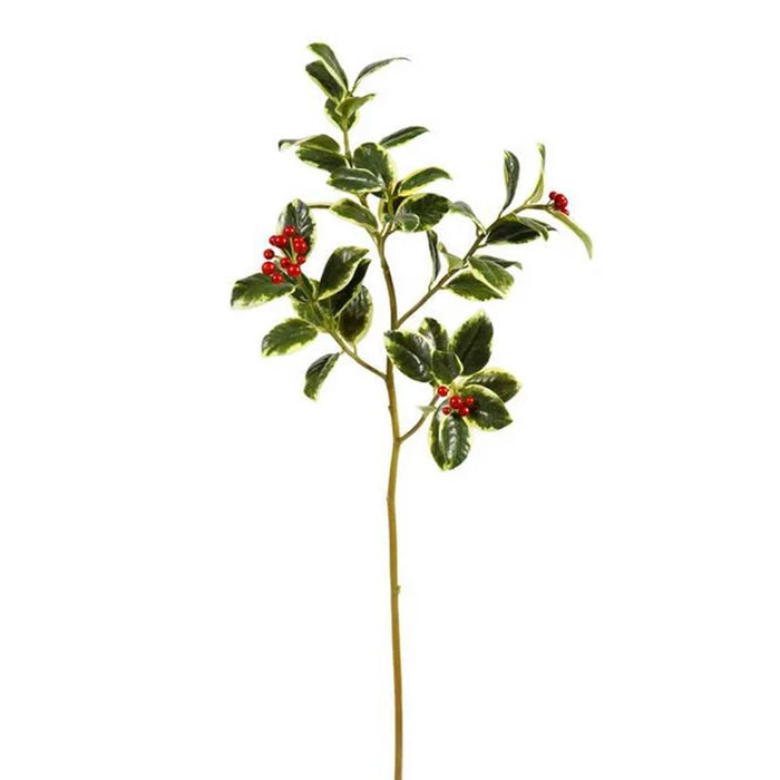 31" Rounded Variegated Holly Spray
