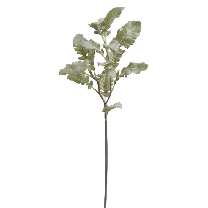 Dusty Miller Spray - Green