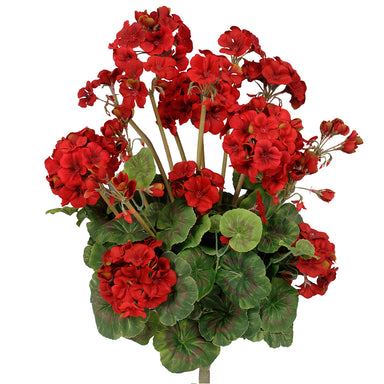 20" Geranium Bush