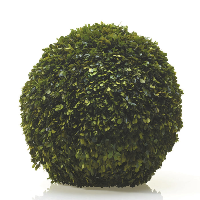 Boxwood Sphere