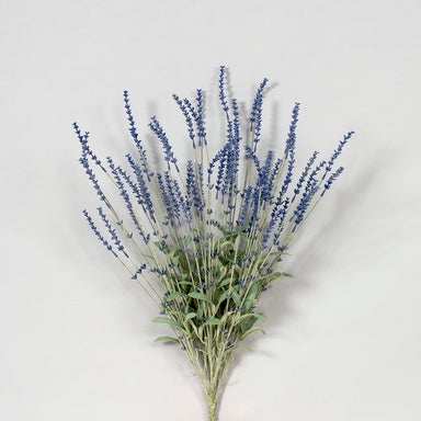 26 in Lavender Bush - Dark Blue