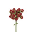 Mulberry Bundle - Red