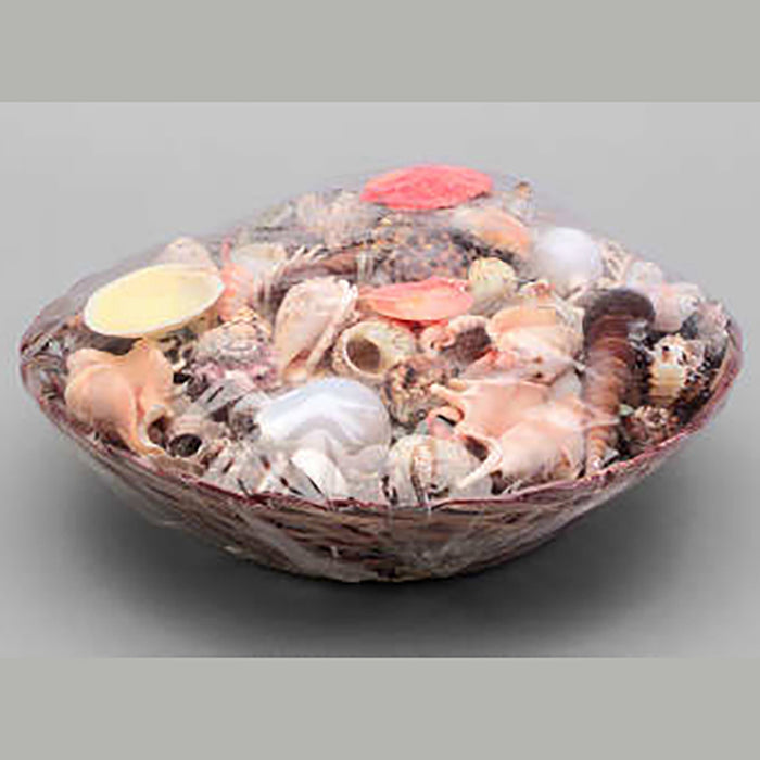 Coco Midrib Basket w/Large Sea Shells