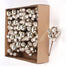 Ball Pick Asst 24Pc/Bx 8" - Champagne