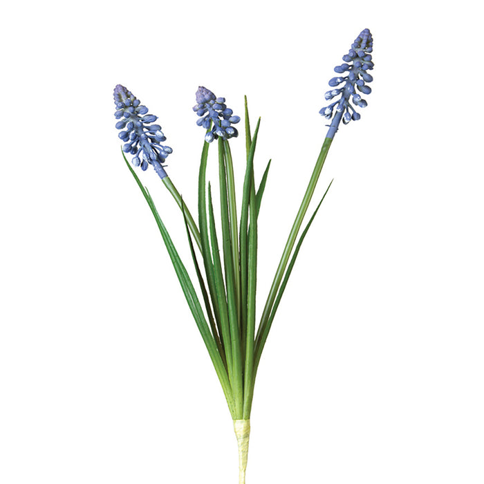15" Grape Hyacinth - Violet Blue