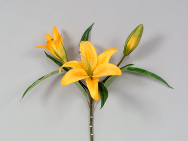 31 in Vendome Casablanca Lily Spray