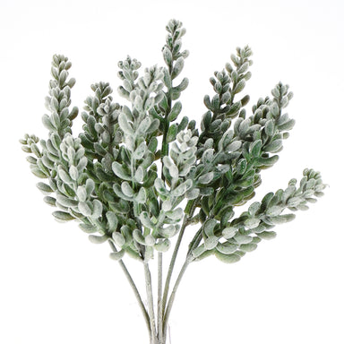 11" Frond Succulent Plant - Blue/Green