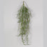 26"L Pe Rhipsalis Hanging Vine X 5 Grey Green