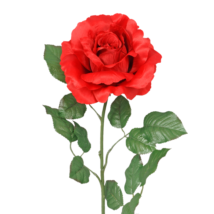 38 in Single Big Rose w/Leaves - Red