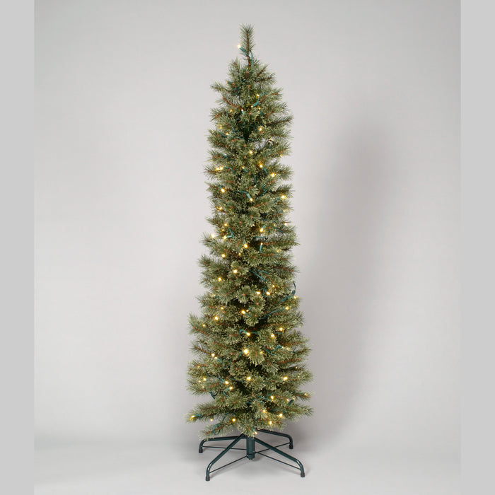 5' Pencil Spruce Tree Tips w/LED Warm White Lights