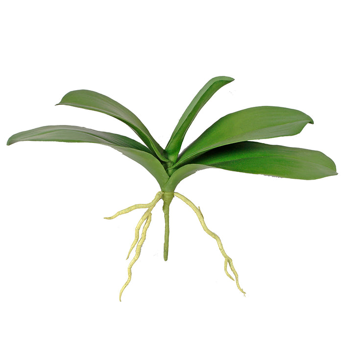 12 in Hw Foam Orchid Leaves Spray w/5 Leaves & 15 Roots - Green