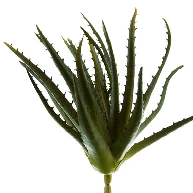 10 in Aloe Pick - Green
