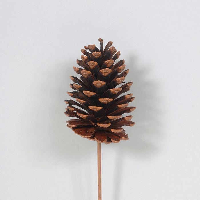 23" Lacquered Natural Pine Cone Pick