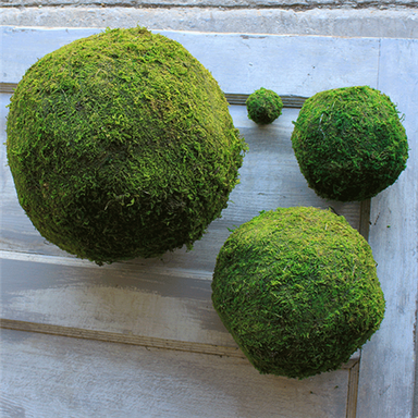 Moss Balls — Baisch & Skinner