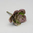 5"Oah X 4-1/2"Td Pe Rosette Succulent Pick Purple/Green